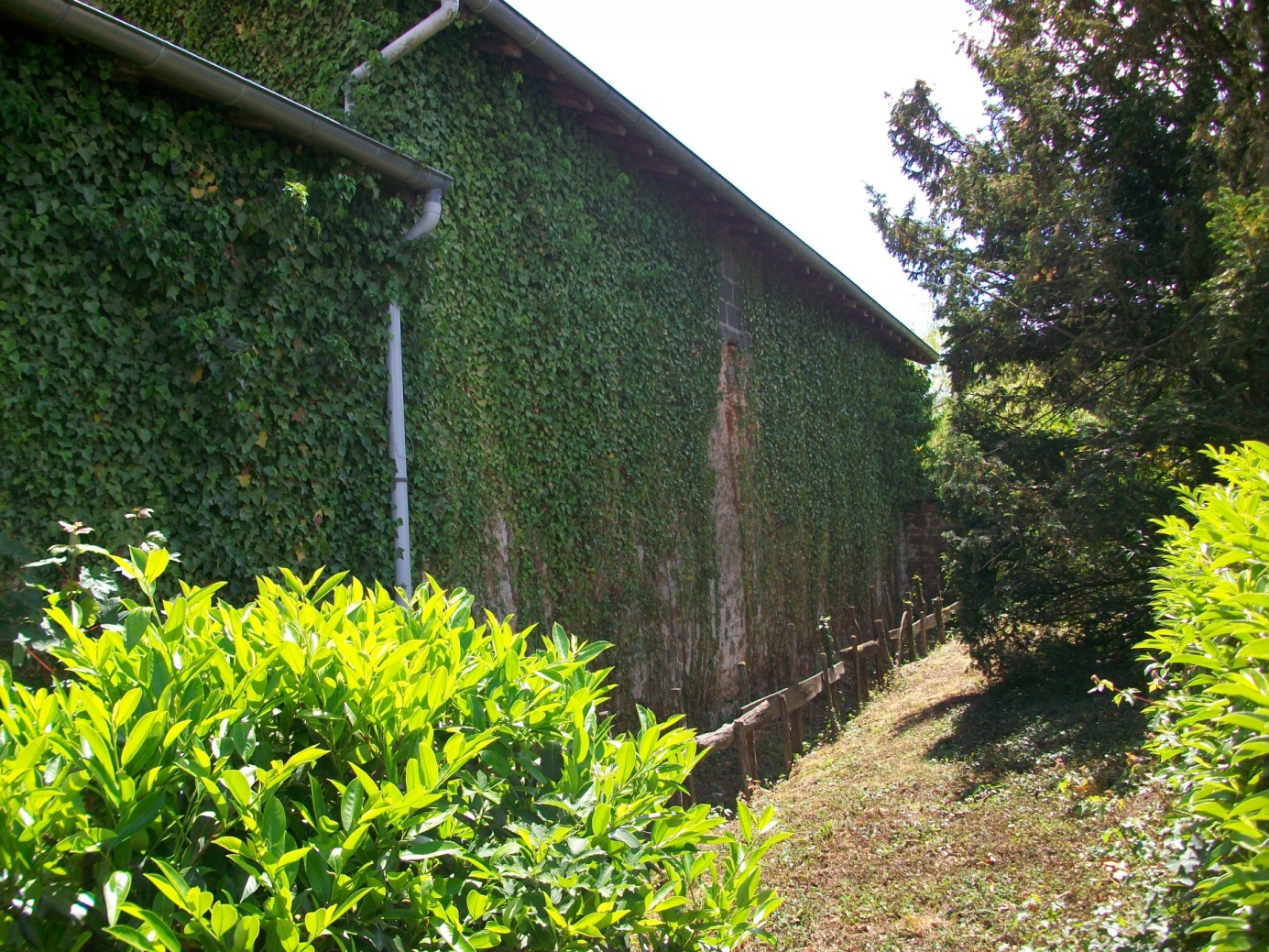 Travaux de restauration d'un mur de maison avec Isolation Thermique par l'Extérieur